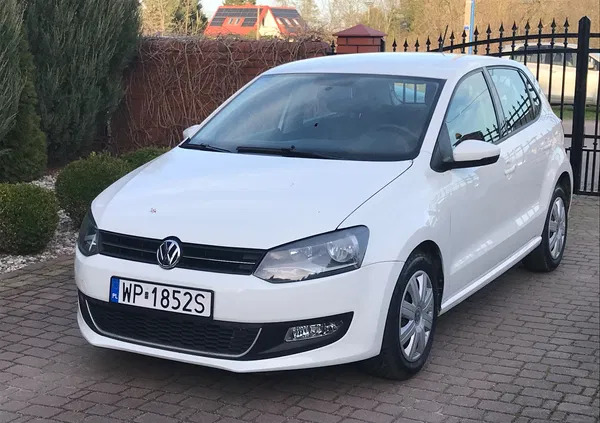 volkswagen polo Volkswagen Polo cena 22900 przebieg: 152150, rok produkcji 2010 z Pułtusk